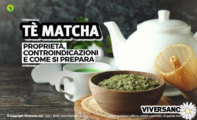 Matcha tea: we discover an incredible health elixir