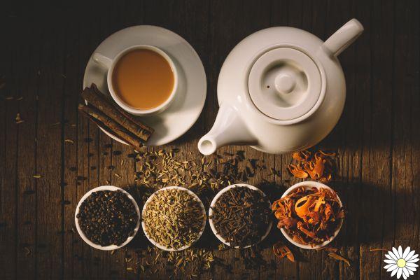 Herbal teas: complete guide of benefits and ways of use