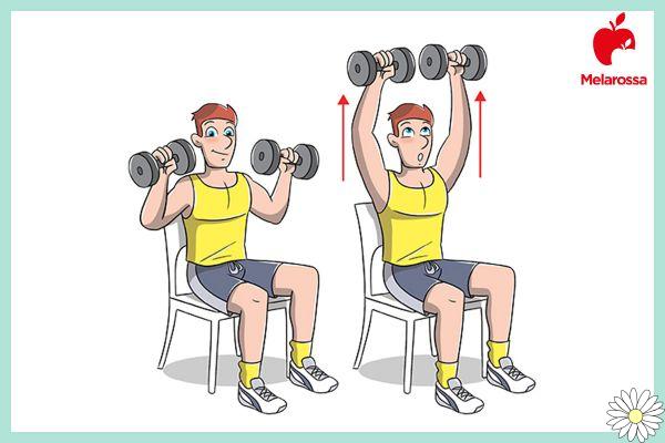 Exercícios de ombro: os melhores exercícios e o programa de treinamento com halteres