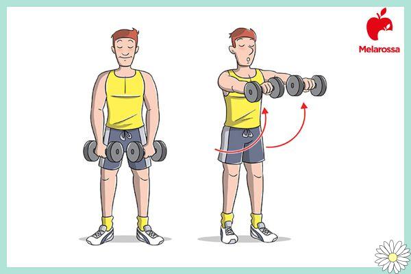 Ejercicios de hombros: los mejores ejercicios y el programa de entrenamiento con mancuernas