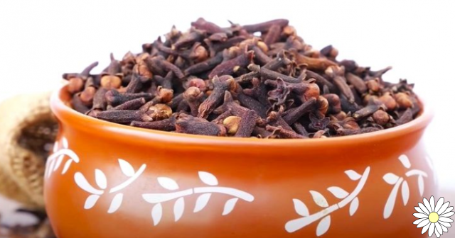 Cloves: their healing properties, uses and contraindications