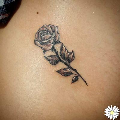 81 pequenas tatuagens de rosas. Fotos, ideias e significado