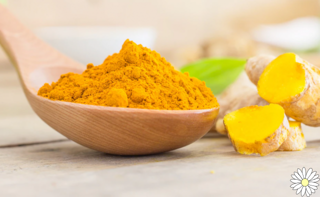 Turmeric for weight loss: here are the slimming properties of turmeric