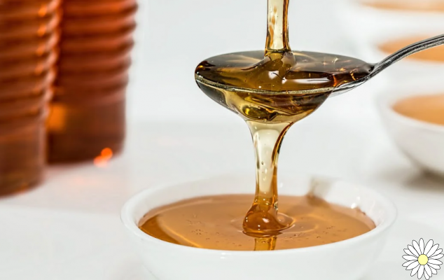 Manuka honey, New Zealand's health honey: here properties and usage