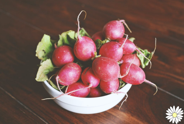 Radishes: small, spicy and full of benefits
