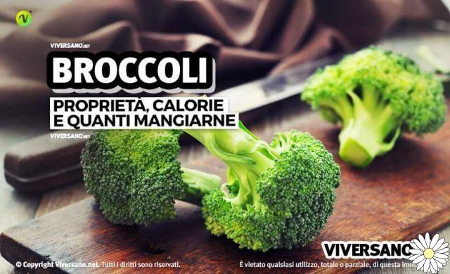 Broccoli: properties, benefits and contraindications