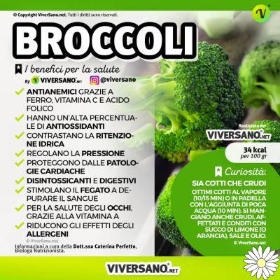 Brócoli: propiedades, beneficios y contraindicaciones