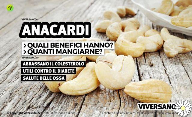 Cashews, ideal against high cholesterol and more: discover all the properties