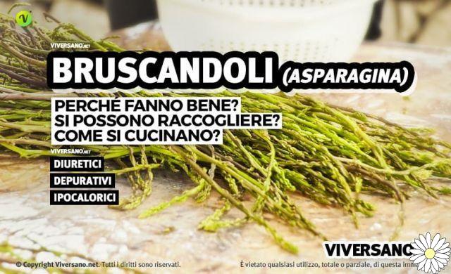 Bruscandoli: properties, contraindications and uses in the kitchen