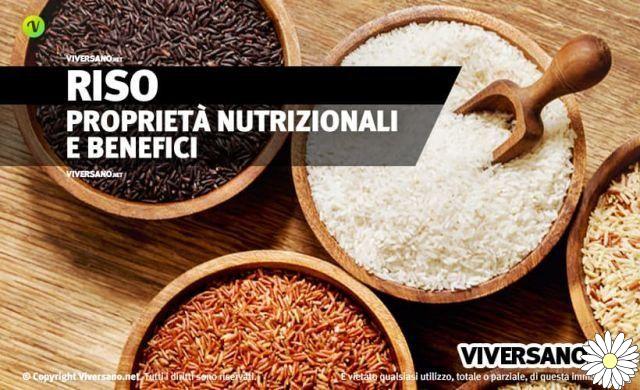 Rice, a food rich in benefits: here are properties, types, uses and contraindications