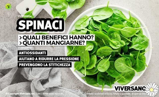 Spinach: all the benefits and nutritional properties