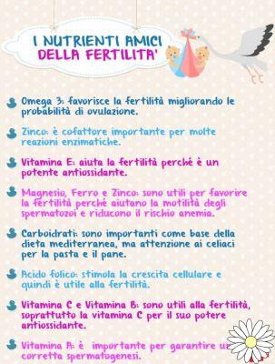 Dieta da fertilidade: alimentos que ajudam a engravidar