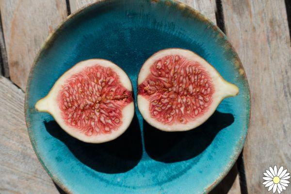 Figos, frutos doces ricos em benefícios: aqui propriedades, como comê-los e contra-indicações