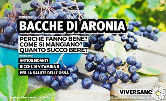 Aronia berries: properties, uses and contraindications