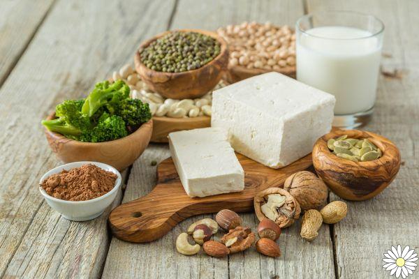 Dieta vegana: qué es, principios, ejemplo de menús, beneficios y riesgos para la salud