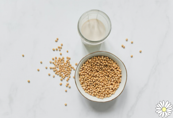 Soybeans: properties, calories, benefits and contraindications