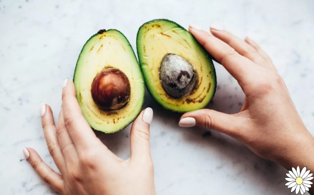 Avocado, a fatty fruit beneficial to your health: why it is good for you and how to eat it
