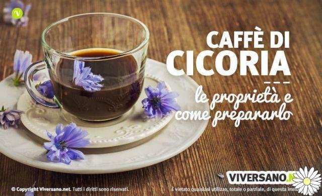 Chicory coffee: properties, how to prepare it and where to buy it