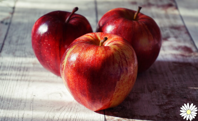 Manzana: propiedades, calorías, beneficios y contraindicaciones de las manzanas