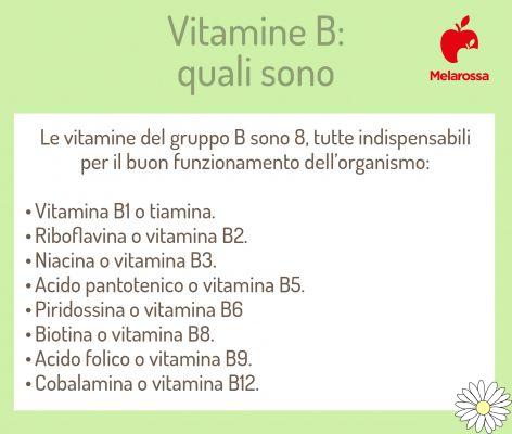 Vitamine B : que sont les vitamines B, à quoi servent-elles, bienfaits pour la santé, aliments riches et symptômes de carence