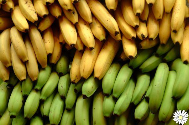 Bananas: elas se dão bem com sua dieta? O conselho do nutricionista