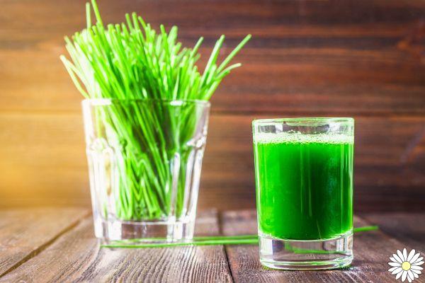 Chlorophyll: what it is, what it is for, properties, benefits and food sources