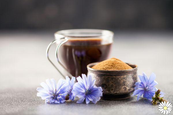Alternativas al café: 10 bebidas energizantes y saludables
