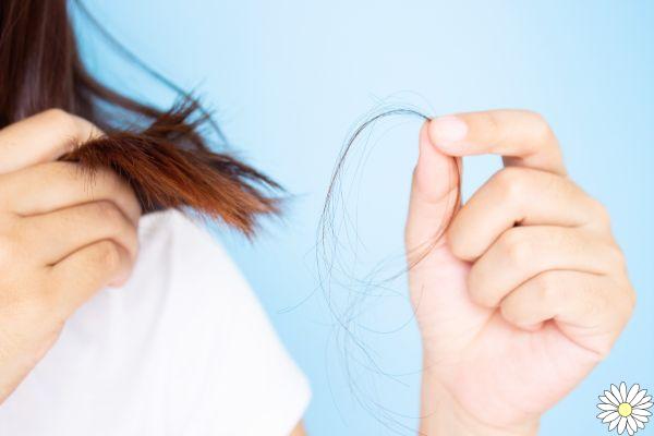 Queda de cabelo: o que é, causas, tratamentos, produtos e dieta para combatê-la