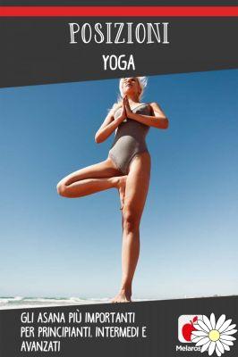 Posturas de yoga: las asanas más importantes para principiantes, intermedios y avanzados