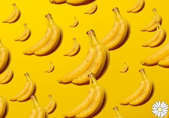 Banane : propriétés, calories, avantages et contre-indications des bananes