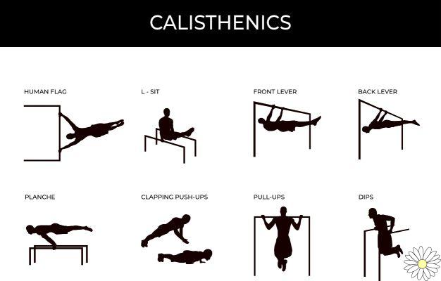 Calisthenics: what it is, exercises, the best parallels, benefits and training program for beginners, intermediate and advanced