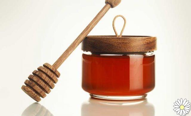 Miel de mielada: propiedades, usos y contraindicaciones