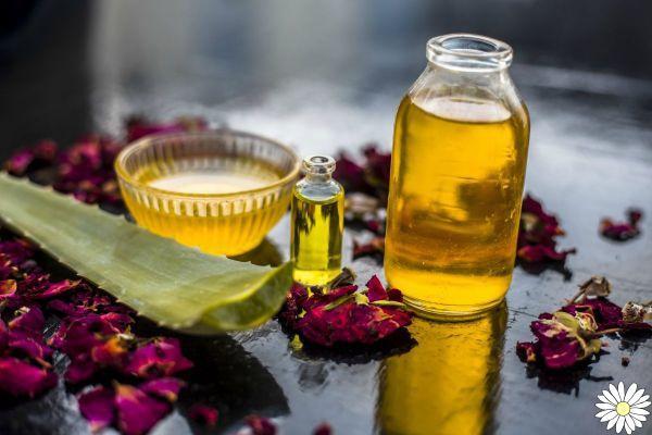 Aceite de árbol de té: qué es, propiedades y beneficios, usos y contraindicaciones