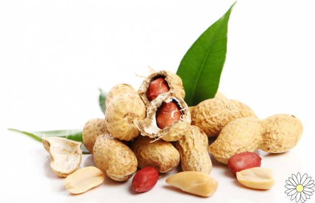 Peanuts: nutritional properties, health benefits and contraindications