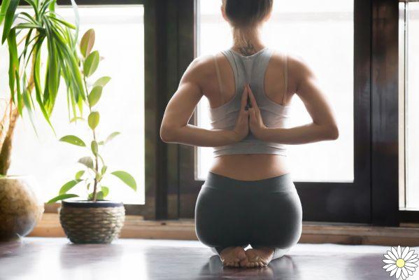 Los distintos tipos de yoga: ¿cuál elegir?