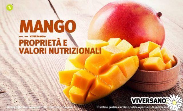 Mango: exotic fruit with splendid properties