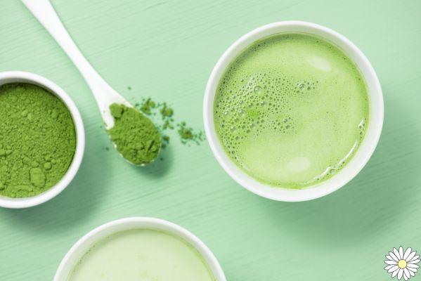 Té verde: qué es, valores nutricionales, beneficios, efectos secundarios y usos en la cocina