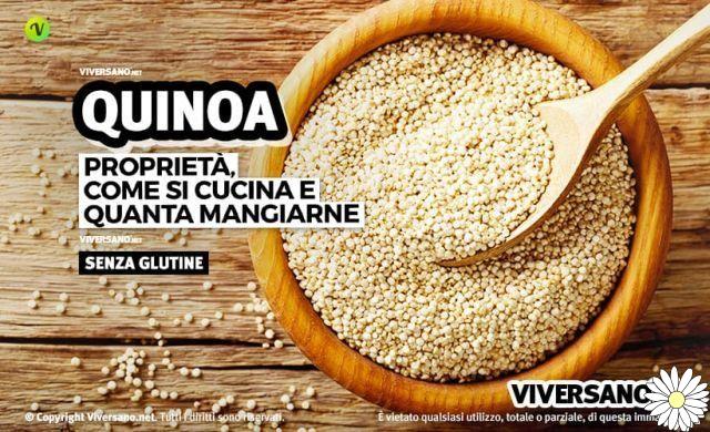 Quinoa: properties, nutritional values, benefits and how to prepare it