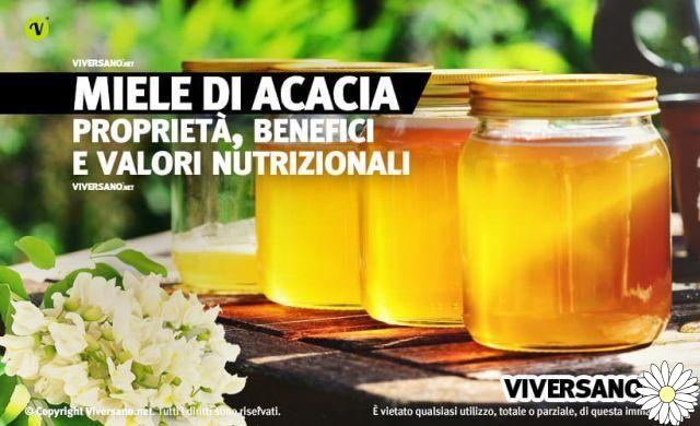 Acacia honey, energetic and restorative: here are properties, benefits and tips for using it at its best