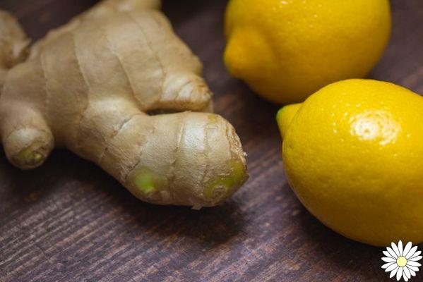 Ginger and lemon: the benefits and 5 recipes to take them every day
