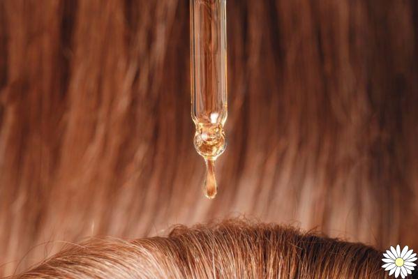 Hair oil: how to use it and guide to buying the best products