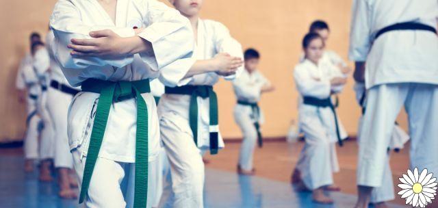Karate: what it is, history, philosophy, how it is practiced and how it is fought