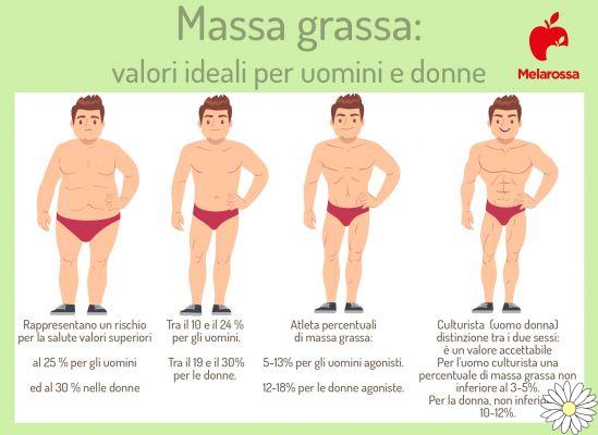Masa grasa: qué es, cómo medirla y calcularla, valores ideales para hombres y mujeres y qué hacer para aumentar la masa magra