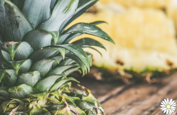 Pineapple, draining and digestive: here are its nutritional properties, benefits and contraindications