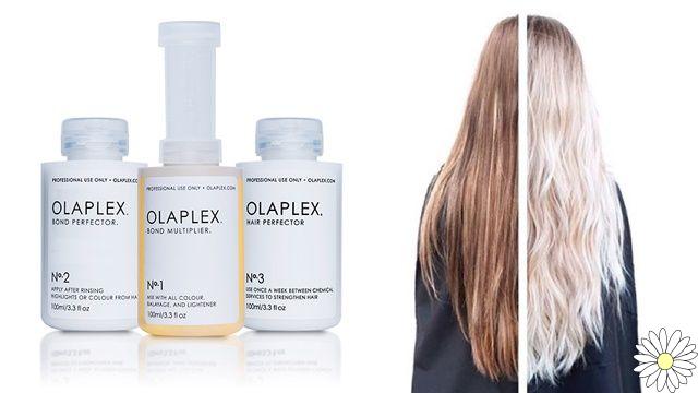 Olaplex, how the restructuring hair treatment of the moment works