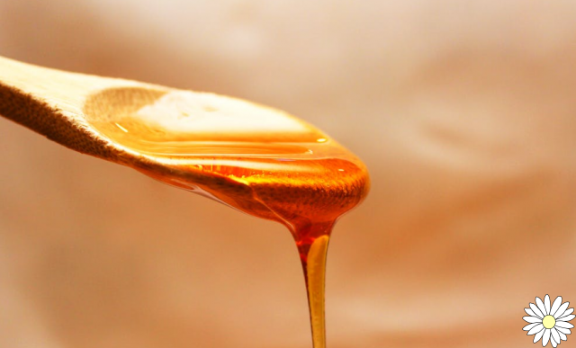 Miel de castaño: las propiedades beneficiosas, cómo usarla y las posibles contraindicaciones