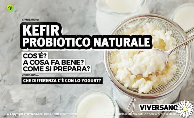 Kefir, the fermented drink rich in benefits: what it is, properties and how to make it at home