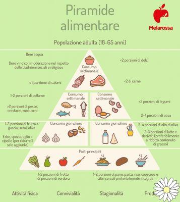 Pirámide alimentaria: qué es, cómo funciona, por qué es importante y los alimentos de la escala nutricional de la dieta mediterránea