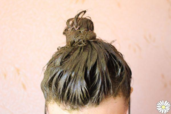 Henna: todos los beneficios para el cabello, cómo elegirla y cómo aplicarla
