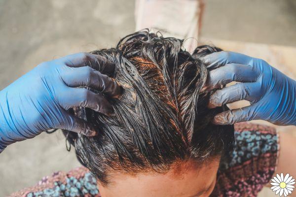 Henna: all the benefits for the hair, how to choose it and how to apply it